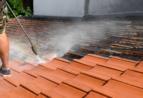 Best Pressure Washing Company Near Me  in Heyville, AL