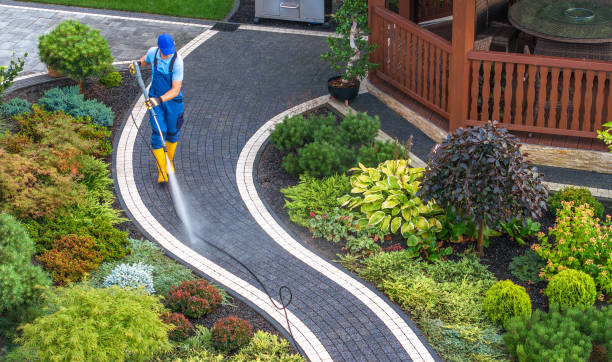 Why Choose Our Certified Pressure Washing Experts for Your Project Needs in Haleyville, AL?